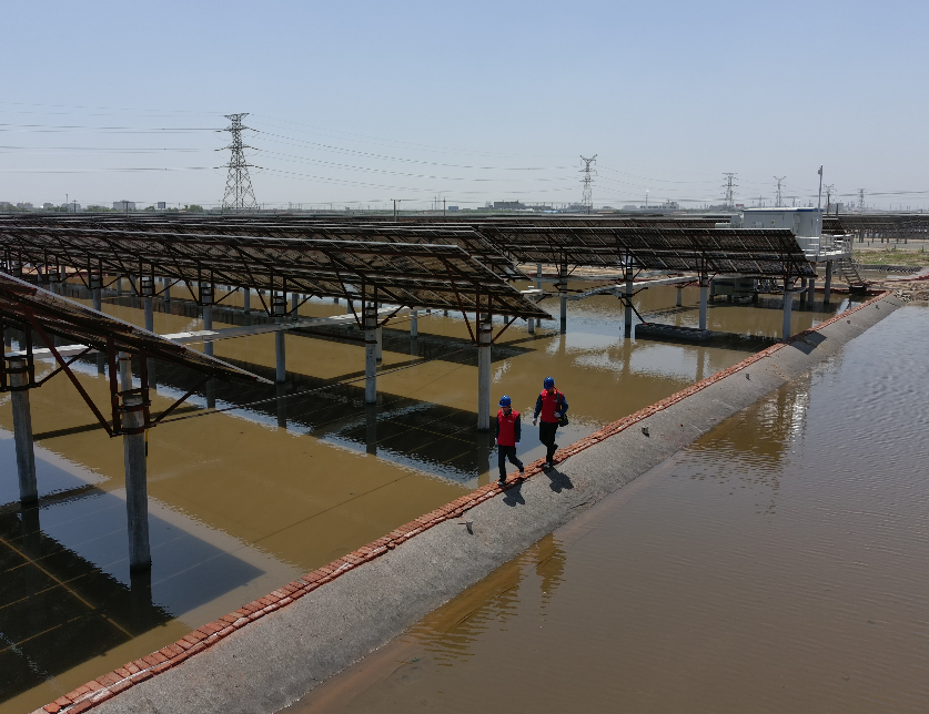 山东省电线电缆行业协会 山东省电线电缆行业协会