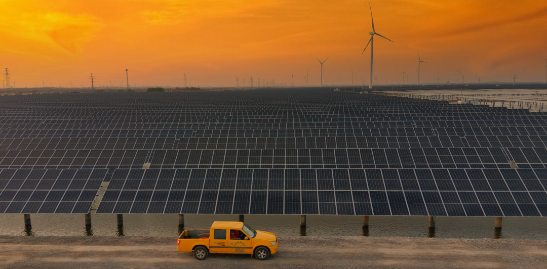 山东省电线电缆行业协会 山东省电线电缆行业协会