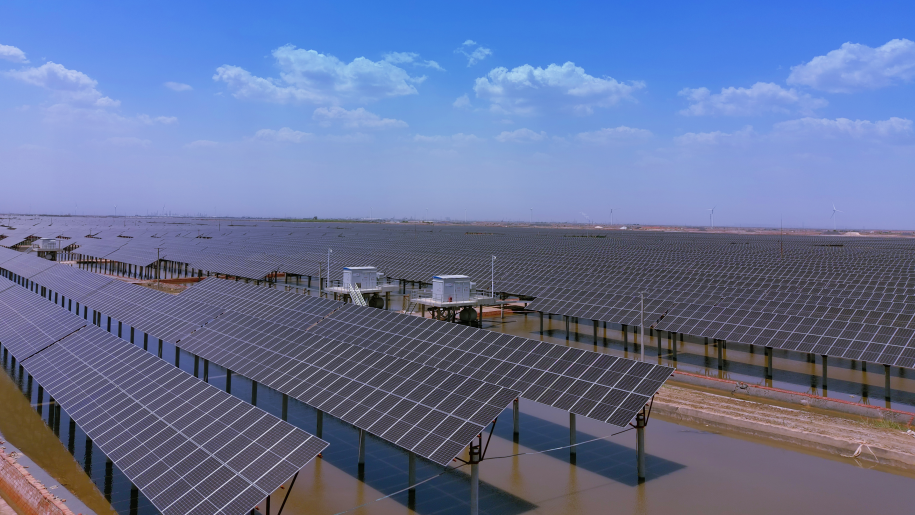 山东省电线电缆行业协会 山东省电线电缆行业协会